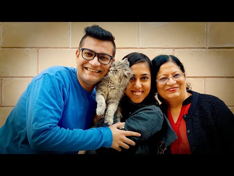 A Look Into My Life By Noori The Cat!