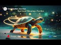 Spiritual Meaning Of Turtles Ancient Symbol Of Protection Patience Wisdom