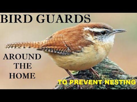 YouTube video about: How to keep birds from nesting on window sill?