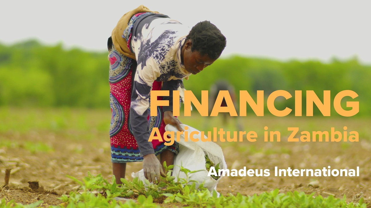 Financing Agriculture in Zambia: Amadeus International