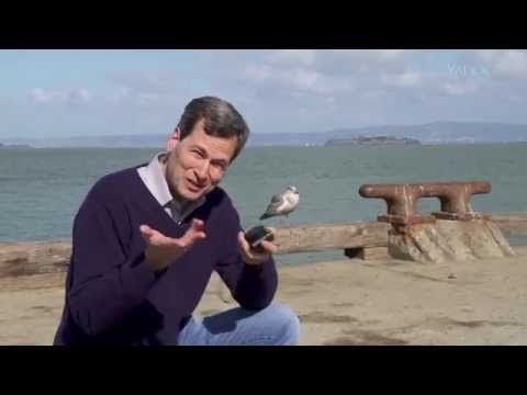 The Pogue Review: Professional Pocket-Sized Cameras