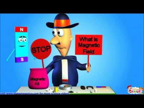 What is  a Magnetic Field ?