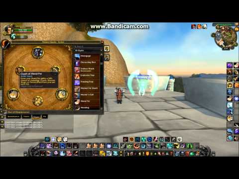 MalivaHunter - Hunter guide MoP 5.0.4 pvp