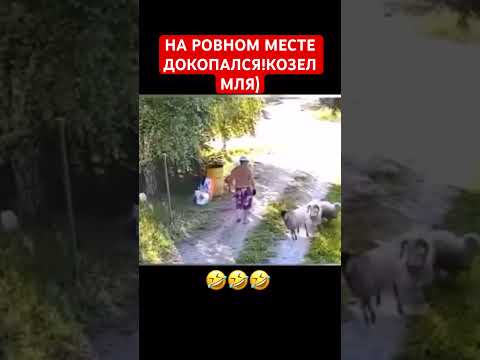 В натуре казёл😂🙌#рек#козел #прикол