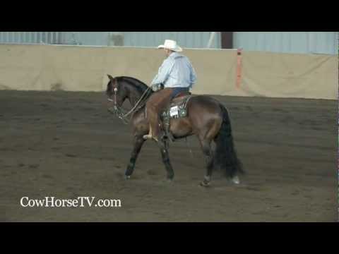 Jake Telford: NRCHA Snaffle Bit Futurity Classes