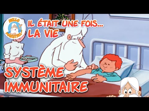 Système immunitaire | Compilation d'épisodes | Il était une fois... la Vie
