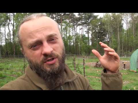 Ogrodowe pierdamony 55 - domki dla murarek....co w nich słychać