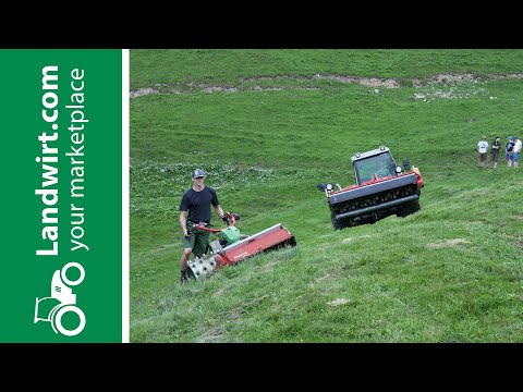 Landwirtschaft auf der Alm | landwirt.com