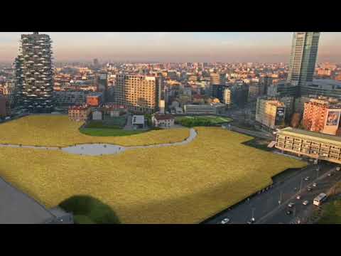 A time to plant: 1 min on Agnes Denes' Wheatfield, a Confrontation