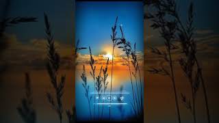 Download lagu Story wa Reggae Sunset - And I Hope mp3