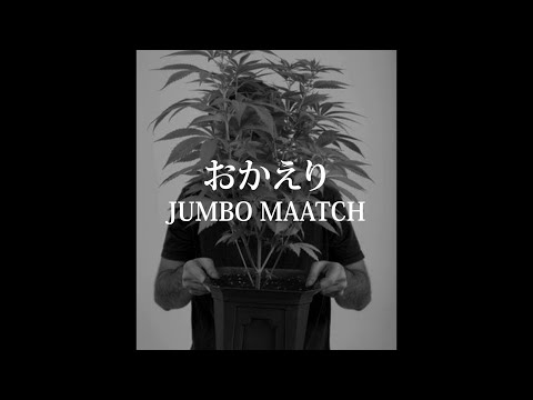 おかえり / JUMBO MAATCH for NG HEAD ( COMBAT5 )