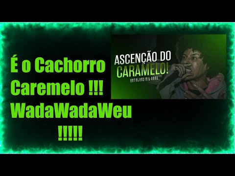 Português "SemVidaSavy" Reação - o DIA que o MAGRÃO AMASSOU no REGIONAL! 🔥