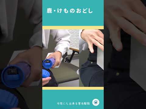 庭にイノシシを近づけないようにする方法は？彼らを傷つけることなく、彼らを撃退し、怖がらせるために機能する6つの解決策  庭園