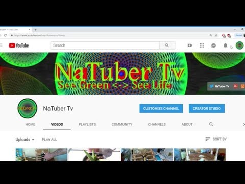 How to Watch Any Video on YouTube With Subtitles in 103 Languages by Using the Auto Translate Option