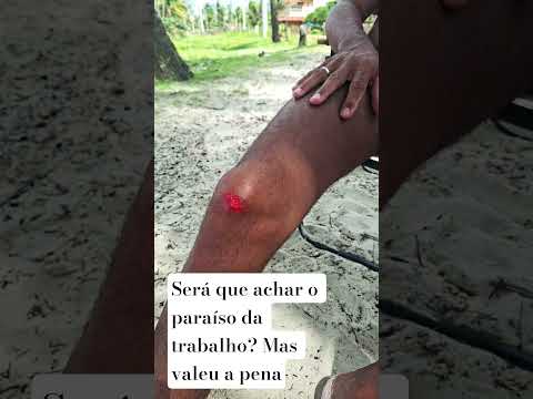 Canavieiras Bahia!! Paraiso🏝🌞#camping #praia #viagem #trending #viralvideo