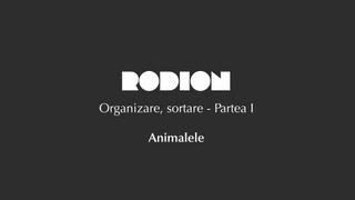 preview picture of video 'Rodion organizare, sortare - Partea 1'