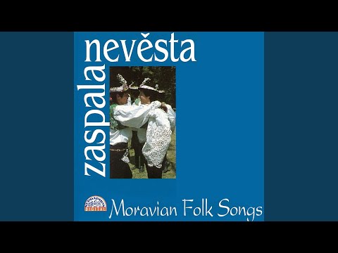 Strážnica městečko - Ve Strážnici néni pána