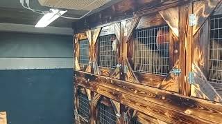 New stalls in Cadillac Ranch travel trailer ready to pull to the show
