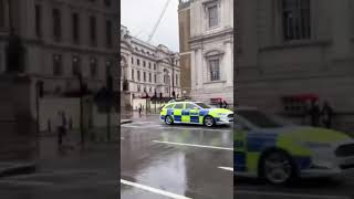 Police Horse on the Loose in London during Black L