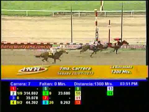 Resumen Sábado, 20 de Julio de 2013 - La Rinconada