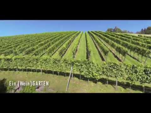 Terroir erleben - Familienweingut Trabos, Südsteiermark