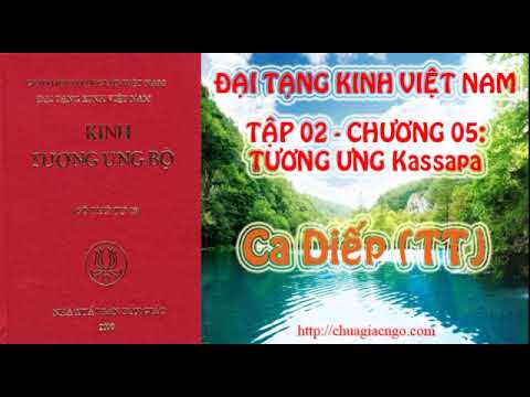 Kinh Tương Ưng Bộ - Tập 2: Chương 5: Tương Ưng Kassapa(TT)