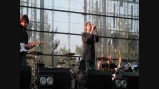 puressence-bitter pill