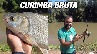 PESQUEIRO RECANTO DA PAZ / IBIUNA SP