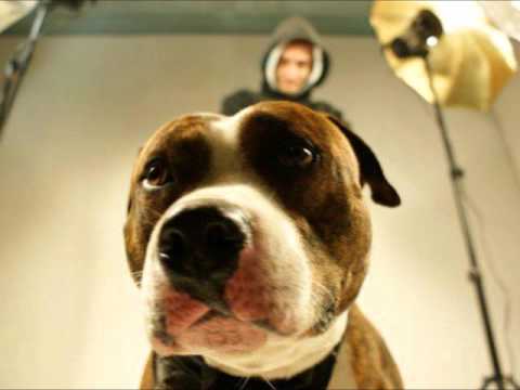 Gras Du Bide   Un pied dans la tombe