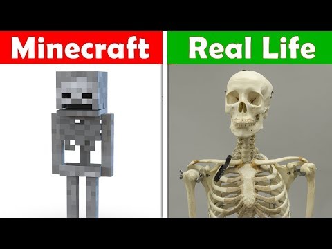 Minecraft Wither In Real Life Minecraft Vs Real Life Animation