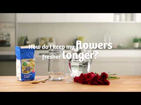 Kitchen Hack: Make Fresh Flowers Last Longer | Food City®