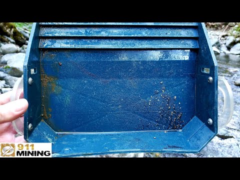 Panning For Gold Pickers Along A Creek!