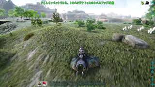 のんびりARK