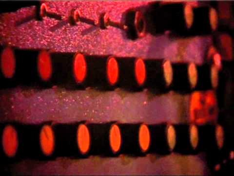 Black Star Line sound system ft. Capra Dread - Specchia 12/08/2011  by DuBle.it