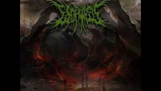 Esophagus - Vagina Tucked-In By Parasites