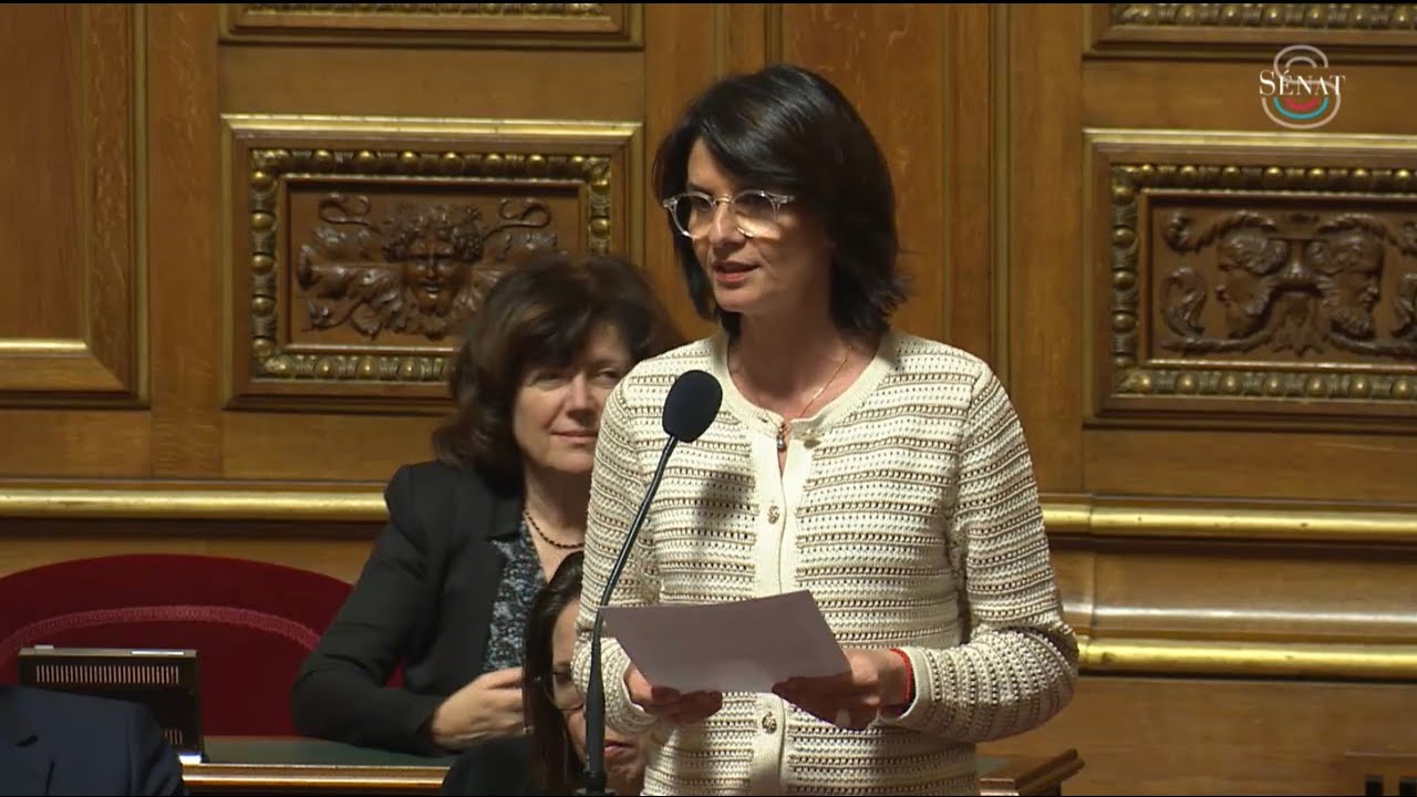 Intervention d’Anne VENTALON dans le débat sur les Jeux olympiques et paralympiques 2024
