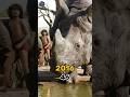 The Jungle Book Cast Transformation Part 2