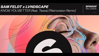 Sam Feldt x LVNDSCAPE — Know You Better (Retrovision Remix)