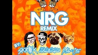 Duck Sauce - NRG (Skrillex, Kill The Noise, Milo & Otis Remix) - LYRICS