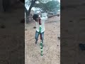 Rangasthalam Song And Beer Bottil Dances