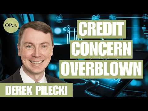 Top Performing Hedge Fund Manager Says Credit Concern is Overblown | Derek Pilecki