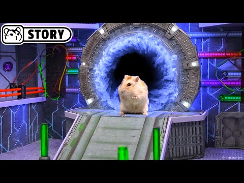 Hamster in the Maze of the Multiverse: Trapped in the Stargate 🐹 Homura Ham