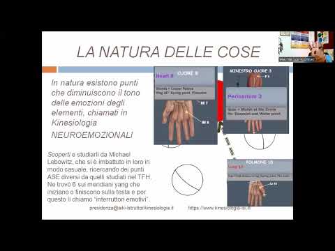 Olisticmap - colpa interna, come gestire ed aumentare la resilienza interna con la Wellness Kinesiology