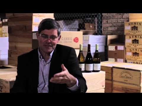 Canopy management in an organic vineyard in Burgundy