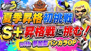 【参加型】夏季初の昇格戦＆バンカラOP！【スプラトゥーン3】#ロイクロ #スプラ3 #バンカラマッチオープン #参加型 #ライブ #splatoon3 #shorts #縦型配信