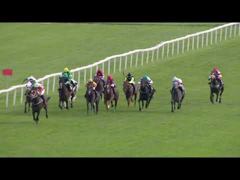 Dostihy Chuchle Arena Praha 3. 9. 2023 - 8. dostih - Cena PP Capital, s.r.o.