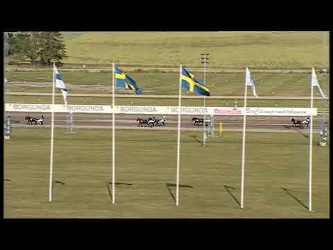 2019-07-12-ponnylopp kat A