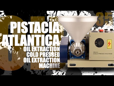 PISTACIA ATLANTICA OIL EXTRACTION - COLD PRESS OIL MACHINE 35MM  - MEDICAL OIL EXTRACTION MACHINE