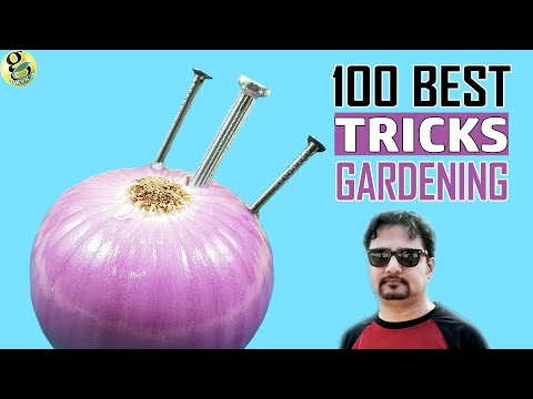 , title : '100 Best GARDENING IDEAS & HACKS by Garden Tips - Beginners to Experts