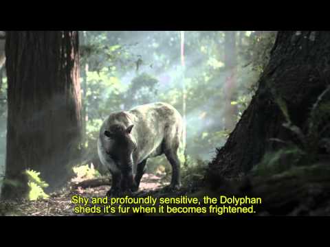 WONDER WORLD FUR - Dolyphan SUBTITLE